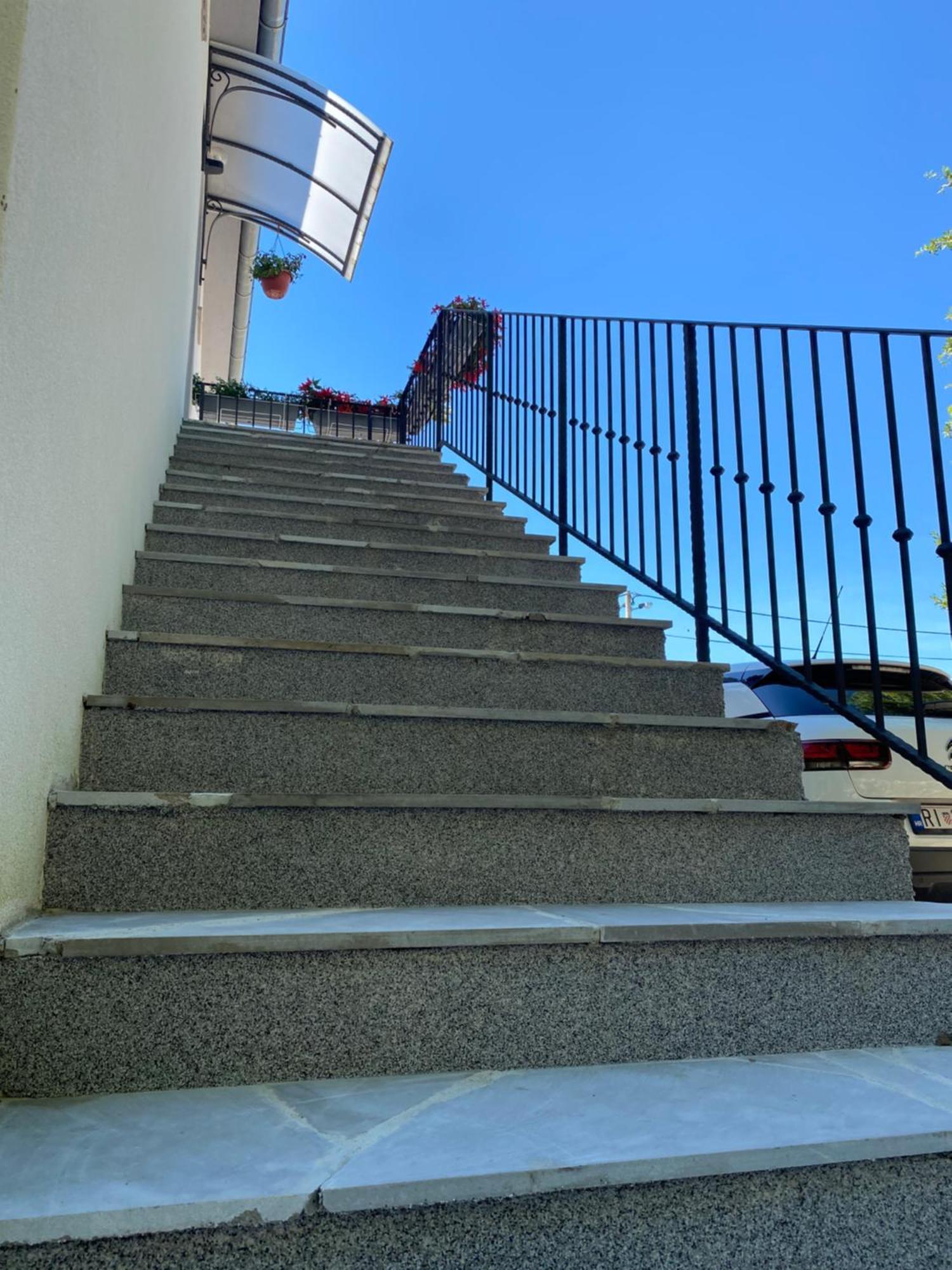 Apartmani Foresta Kras Extérieur photo